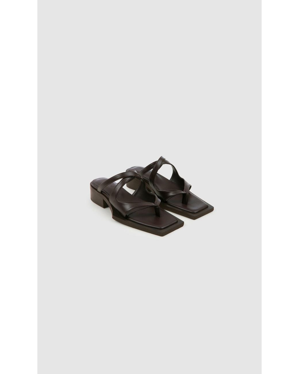 PREVU Black Karel Mule