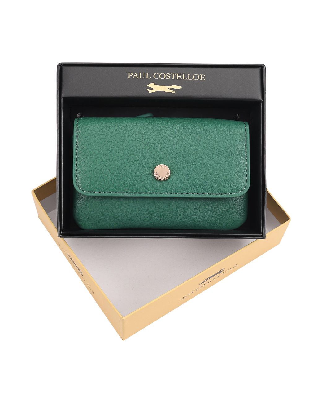 Paul Costelloe Green Isla Leather Purse