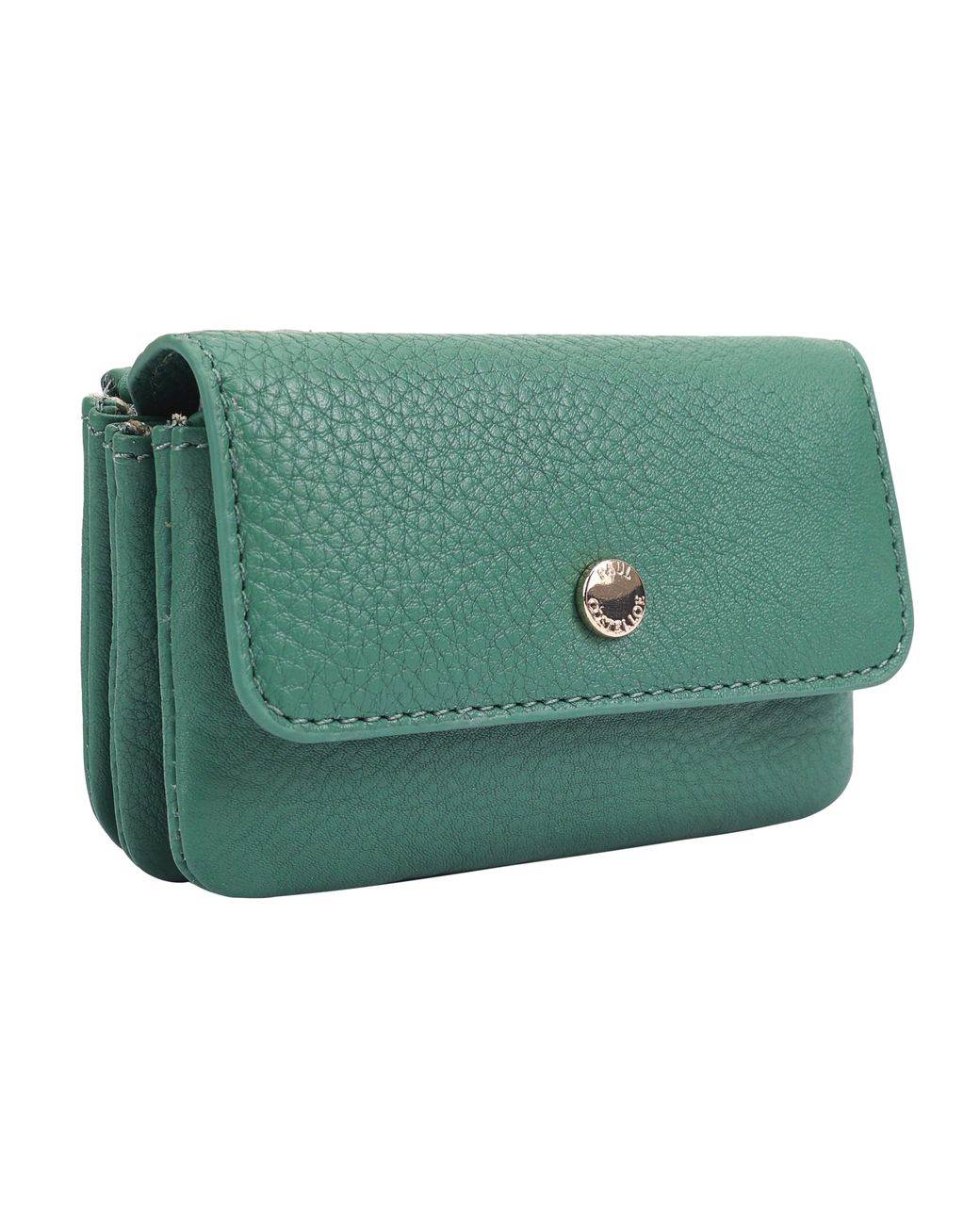 Paul Costelloe Green Isla Leather Purse