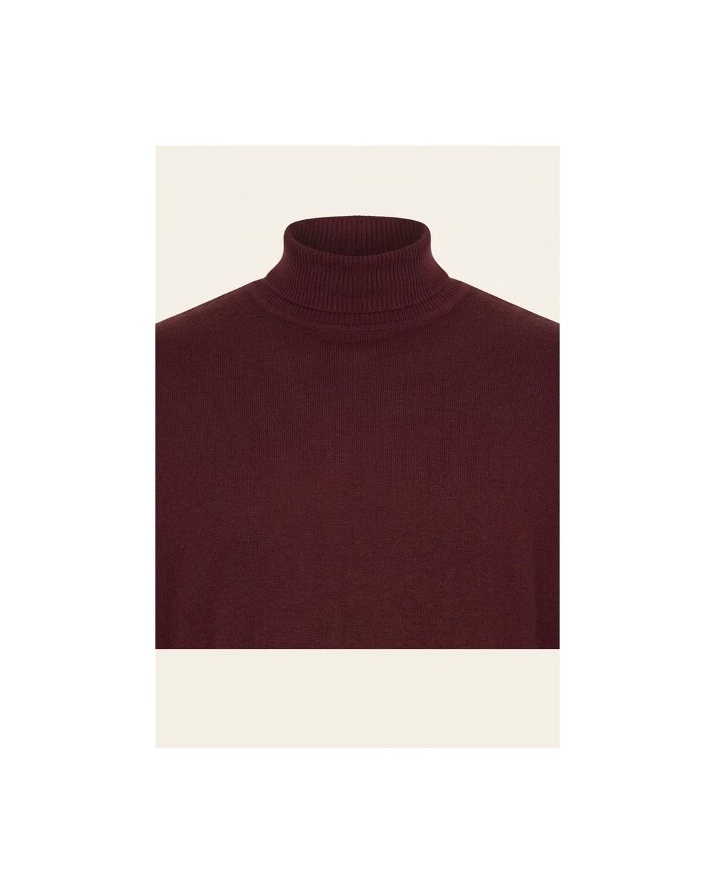 Ron Tomson Purple Roll Neck Knit Sweater for men