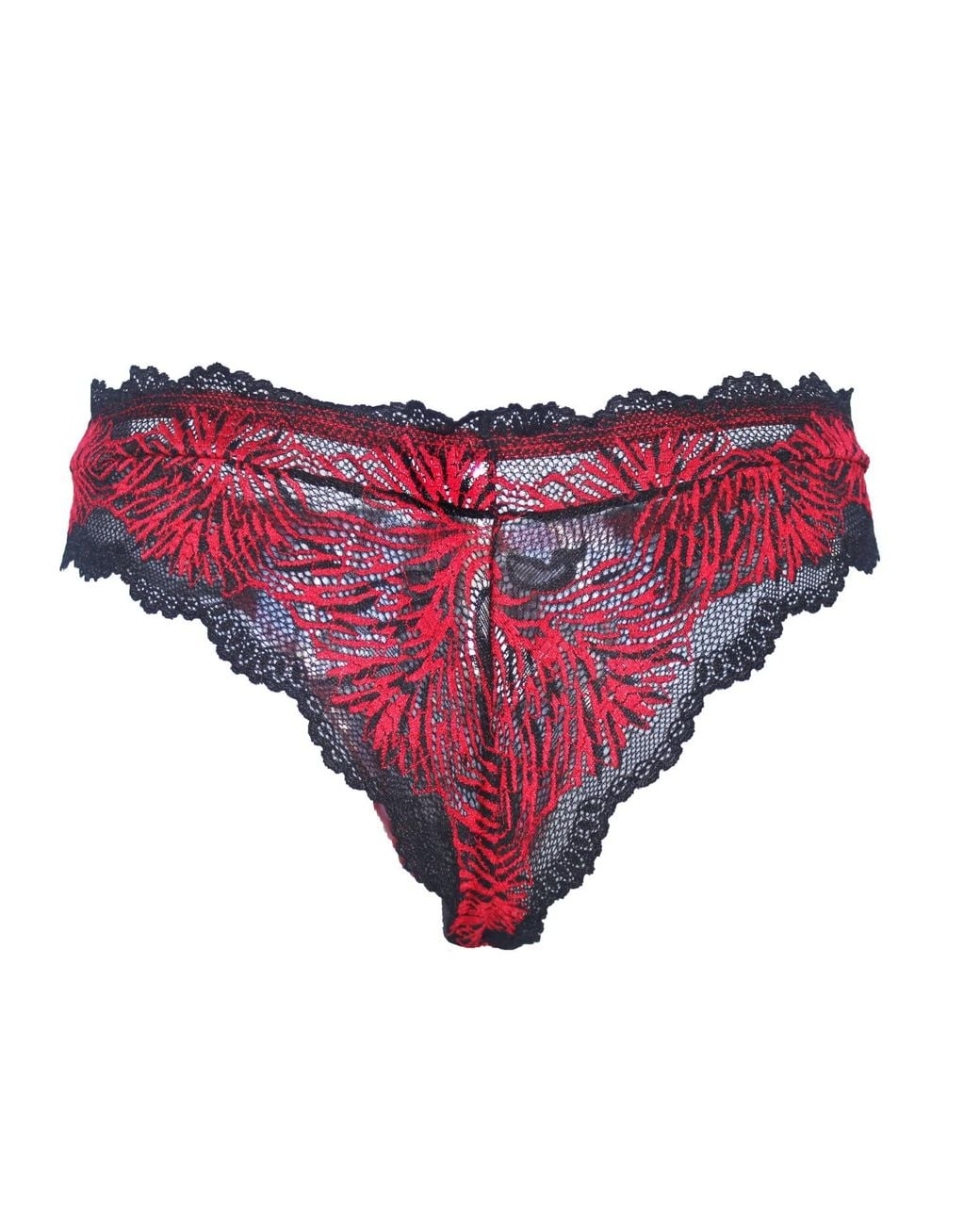 Carol Coelho Red Pomegranate Love Lace Tanga