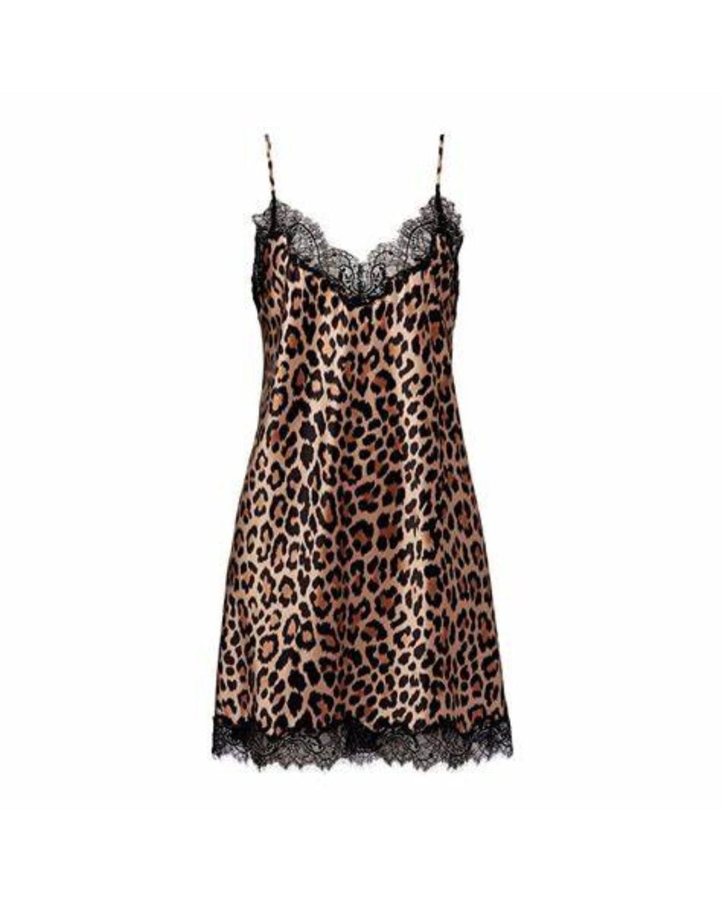 SAINTED SISTERS Brown Scarlett Animal Chemise