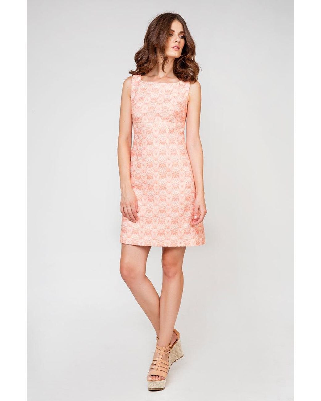 Conquista Pink Print Sleeveless A Line Shift Dress By Fashion