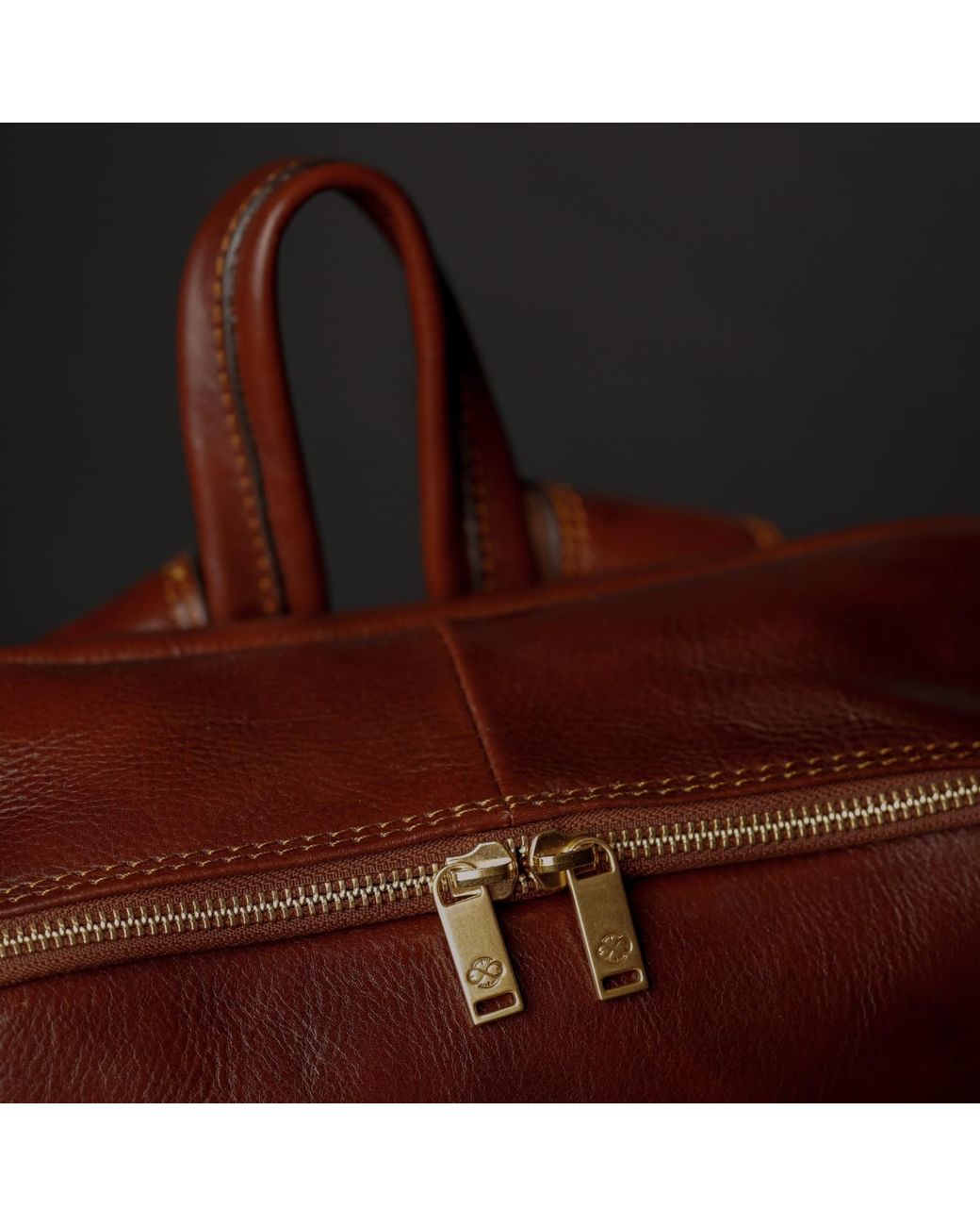 Time Resistance Brown Leather Backpack Travel Bag
