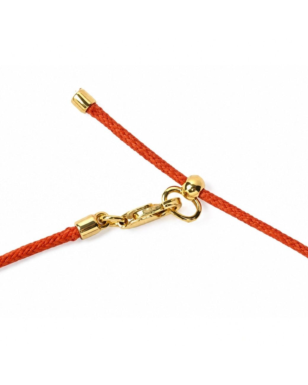 Vixii Orange Neemo