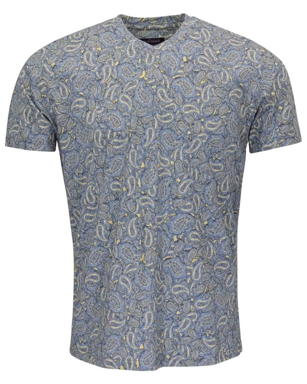 Lords of Harlech Gray Maze Paisley Pile Sunshine Vneck Tee for men