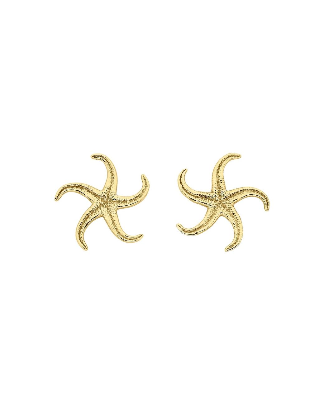 Zoe & Morgan Metallic Starfish Earrings