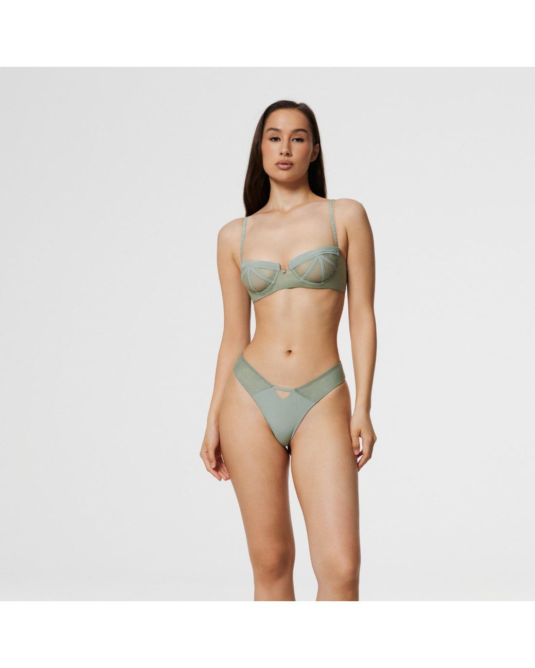 Vera Lumin Gray Azalea
