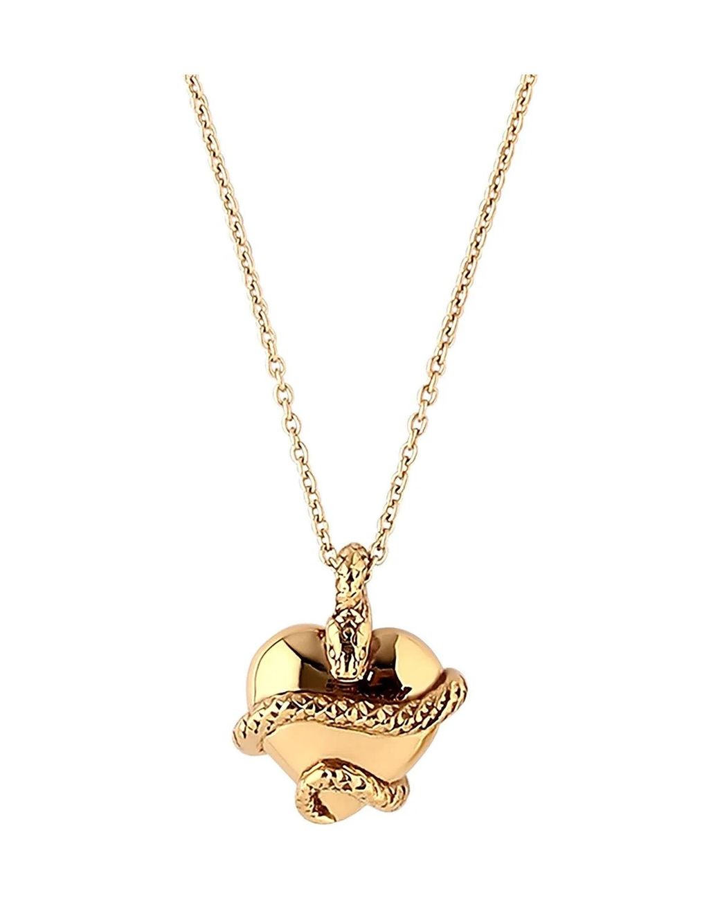 Astor & Orion Metallic Wise Heart Charm Necklace