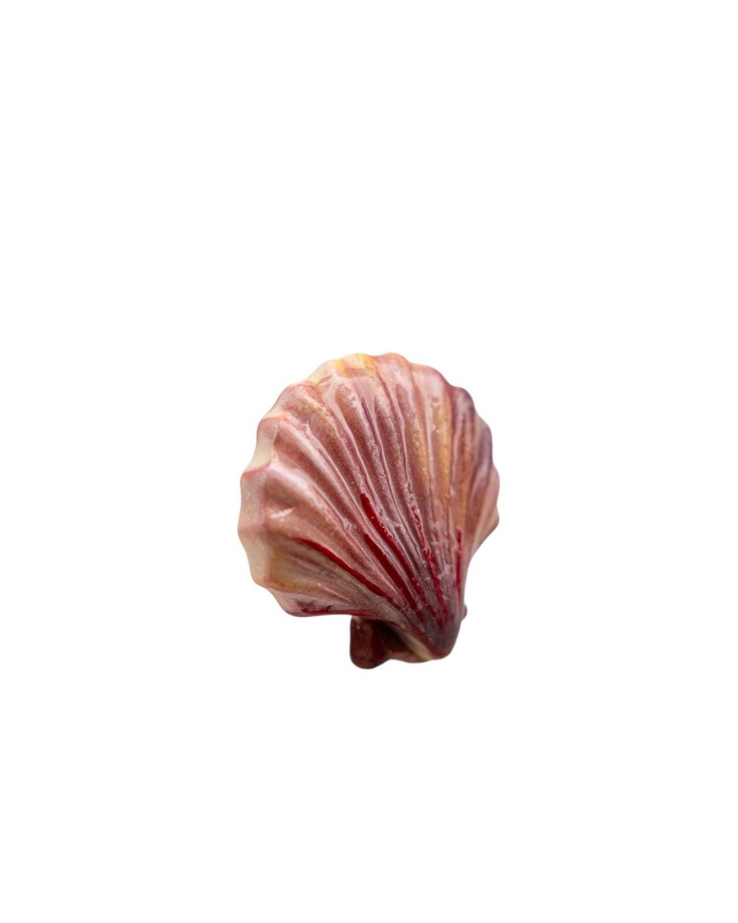 Sunset Magic Studio Red Coral Shell