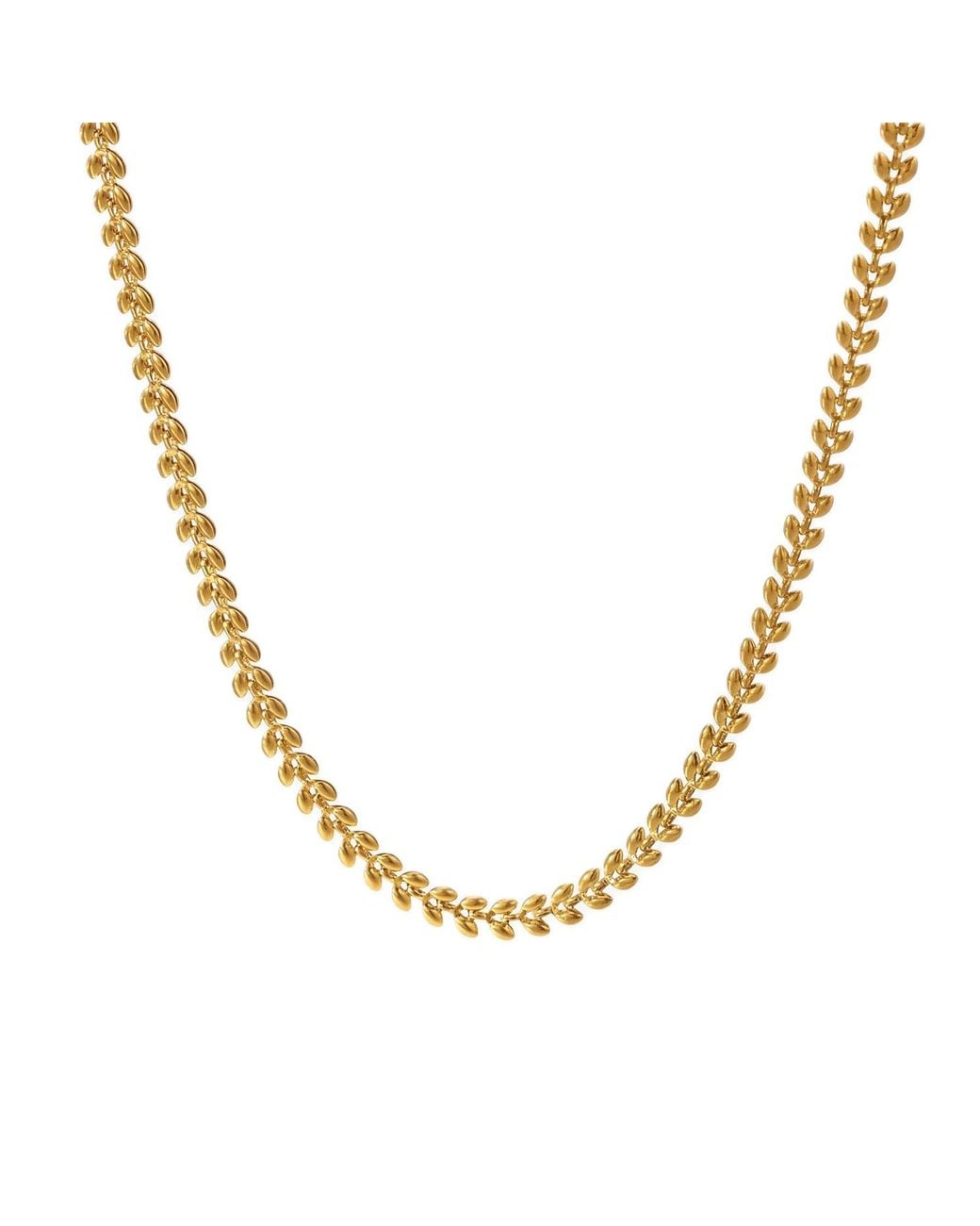 Elk & Bloom Metallic 14K Leaf Chain Choker Necklace