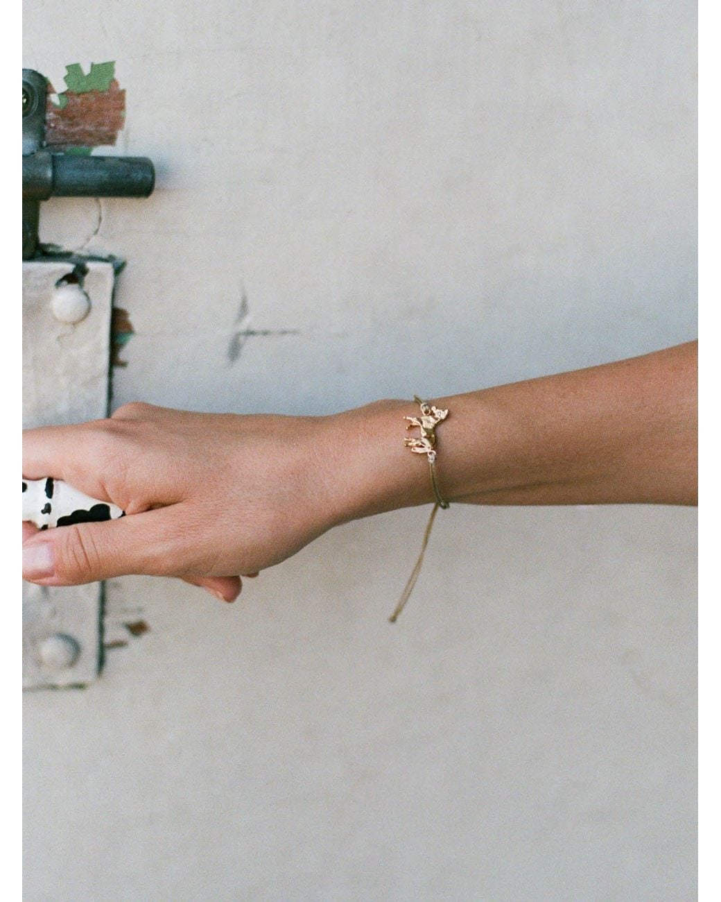 EVA REMENYI Gray Horse Bracelet