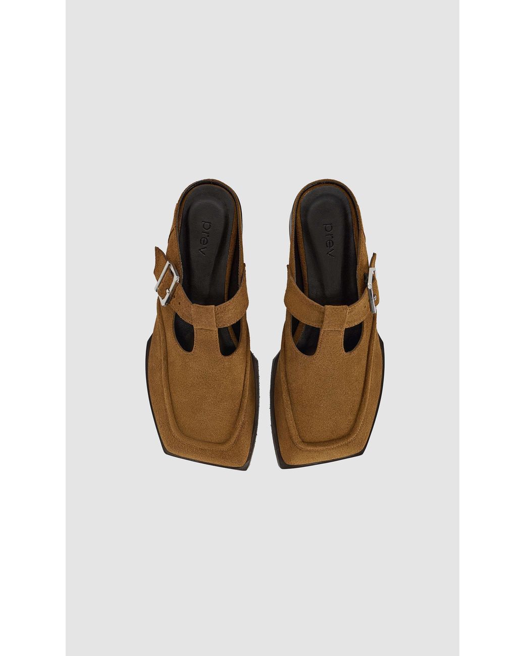 PREVU Brown Lou