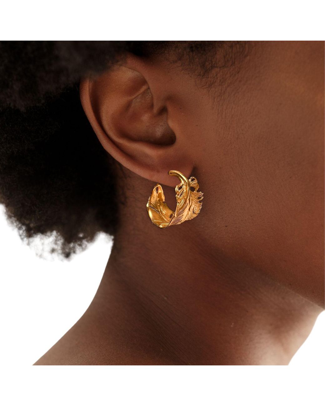 Jaredjamin Metallic Plume Hoop Post Earrings