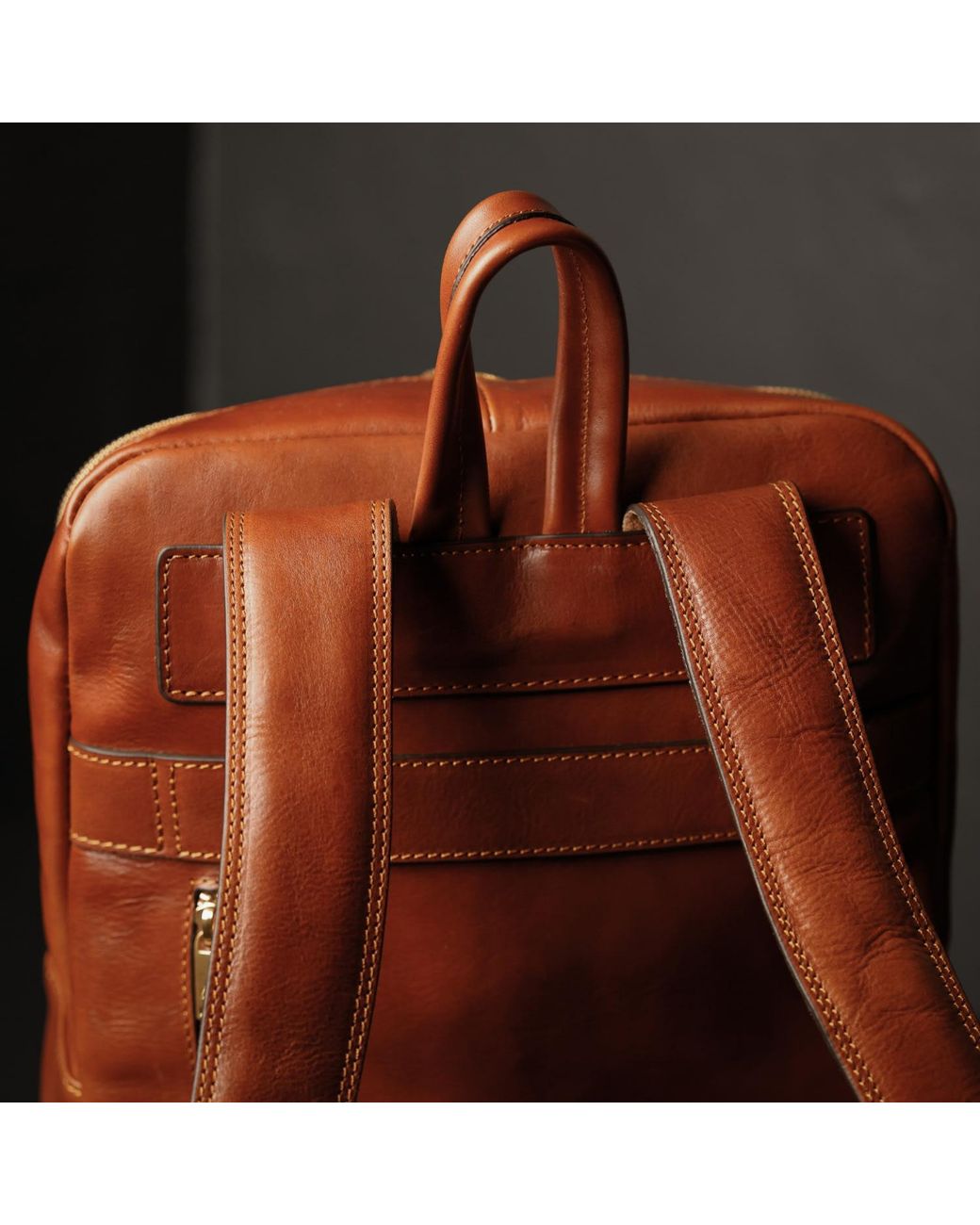 Time Resistance Brown Leather Backpack Travel Bag