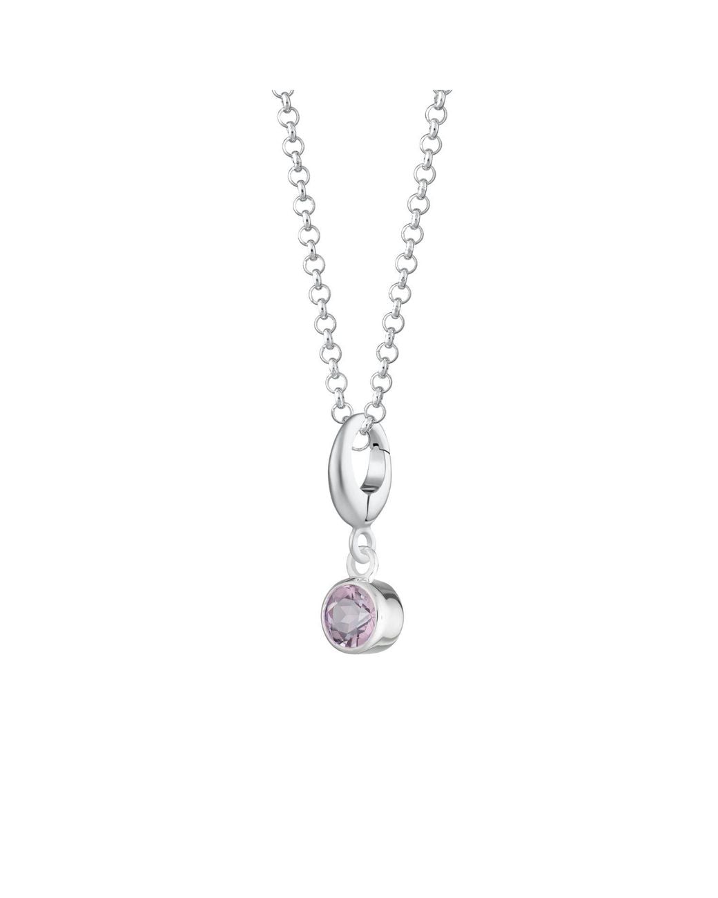 Lily Charmed Metallic Sterling February Birthstone Charm Necklace