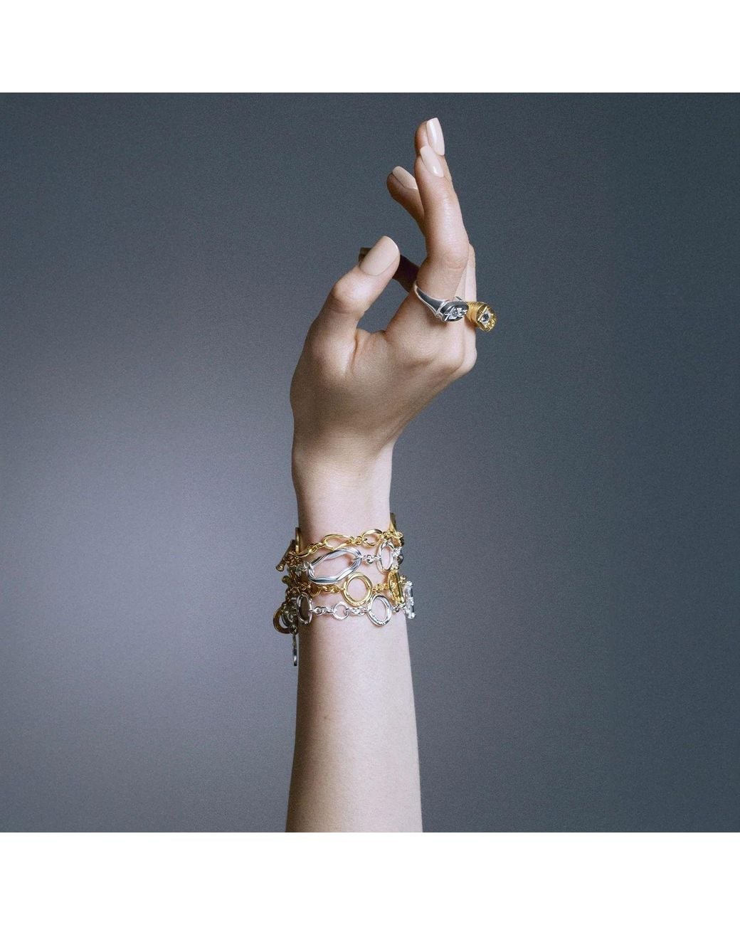 Stefan Tiron Metallic Anellus Bracelet