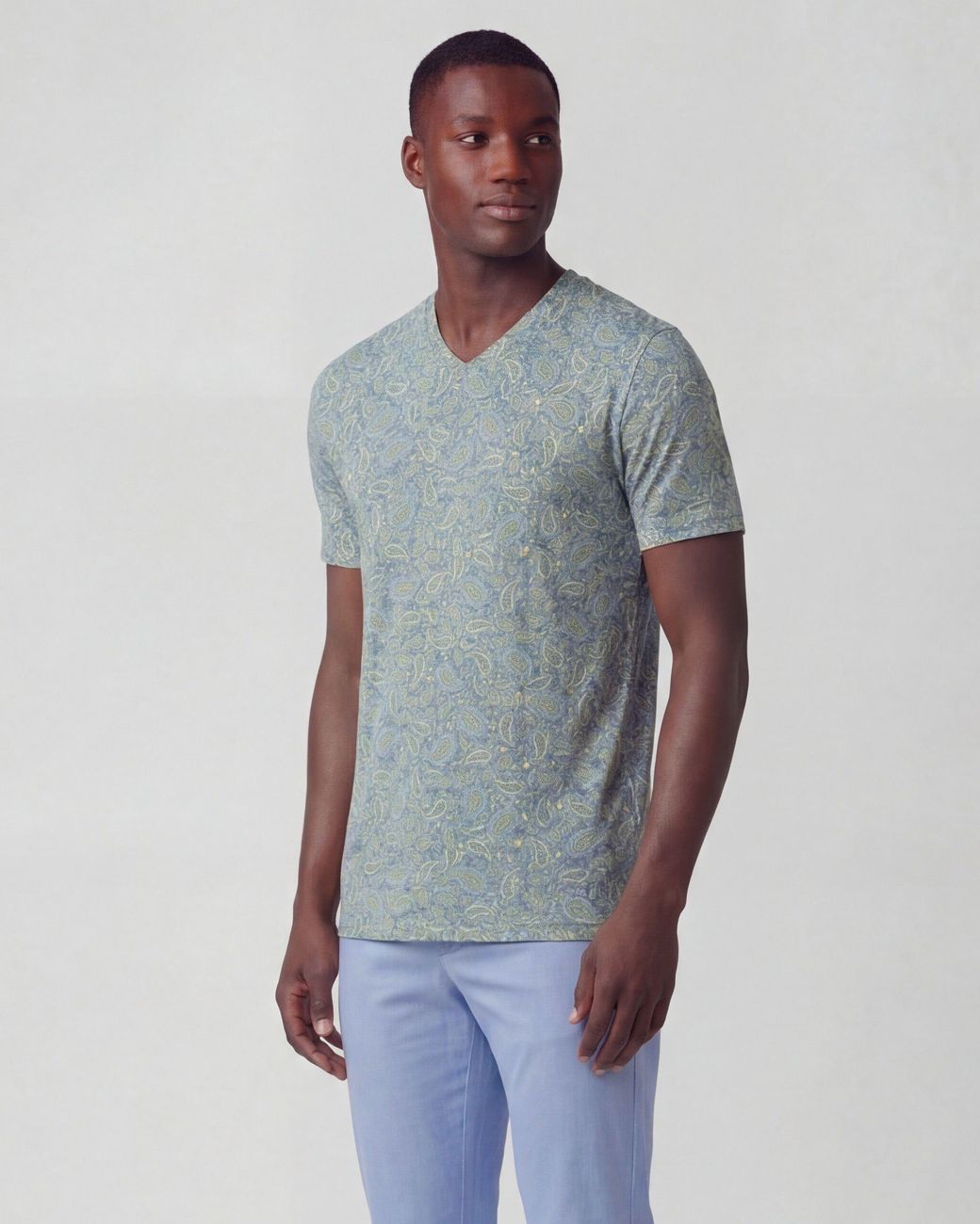 Lords of Harlech Gray Maze Paisley Pile Sunshine Vneck Tee for men