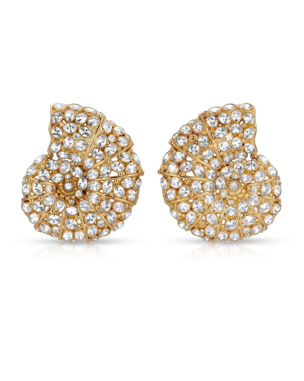 Zepplin the Label Metallic Nautilus Earrings