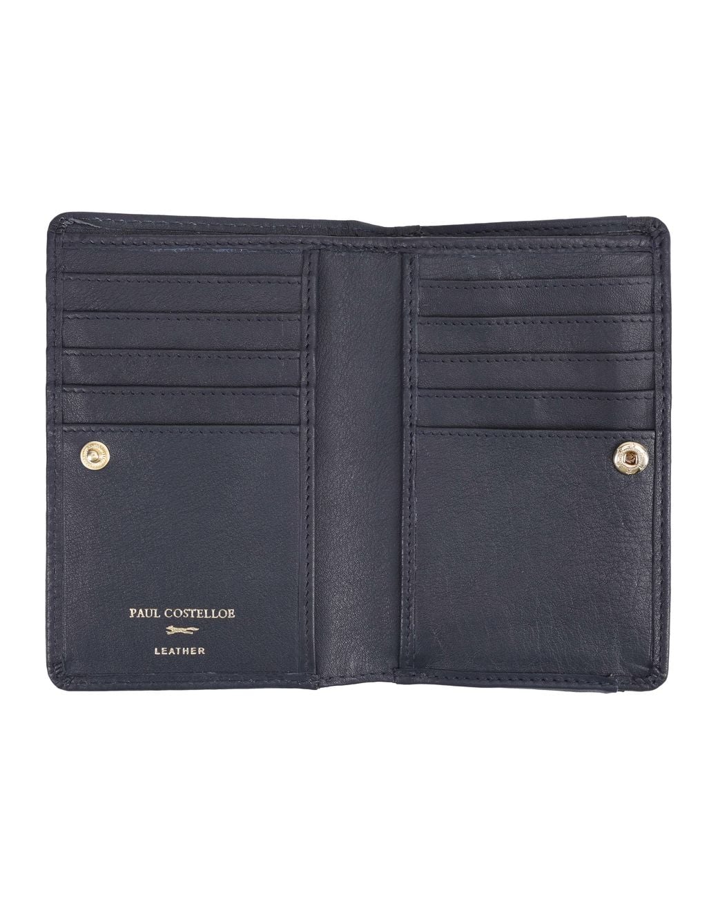 Paul Costelloe Blue Solidago Leather Purse