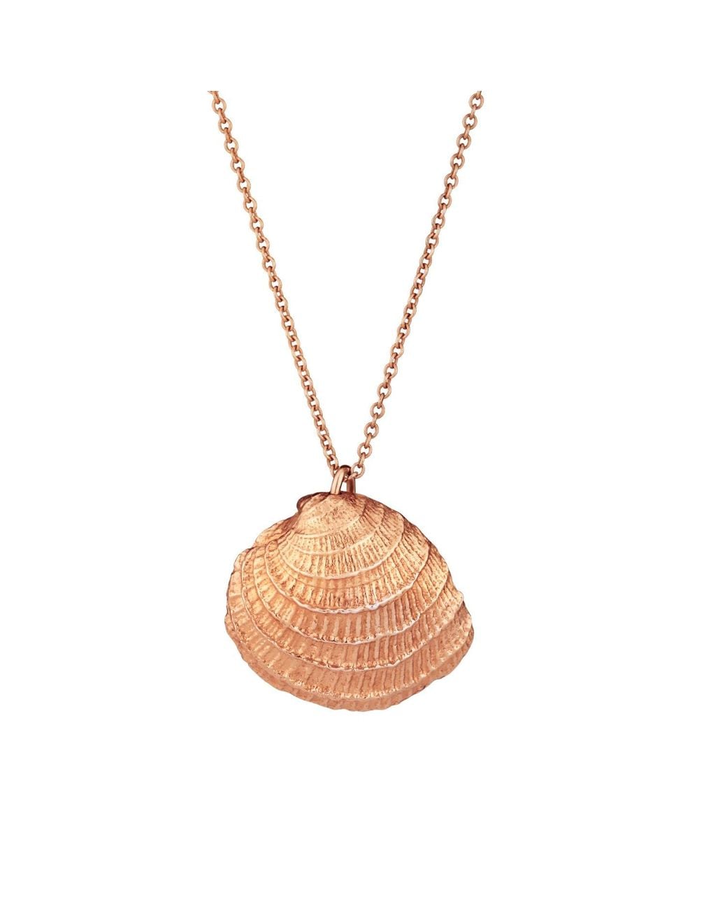 Posh Totty Designs Metallic Rose Gold Plated Clam Shell Necklace