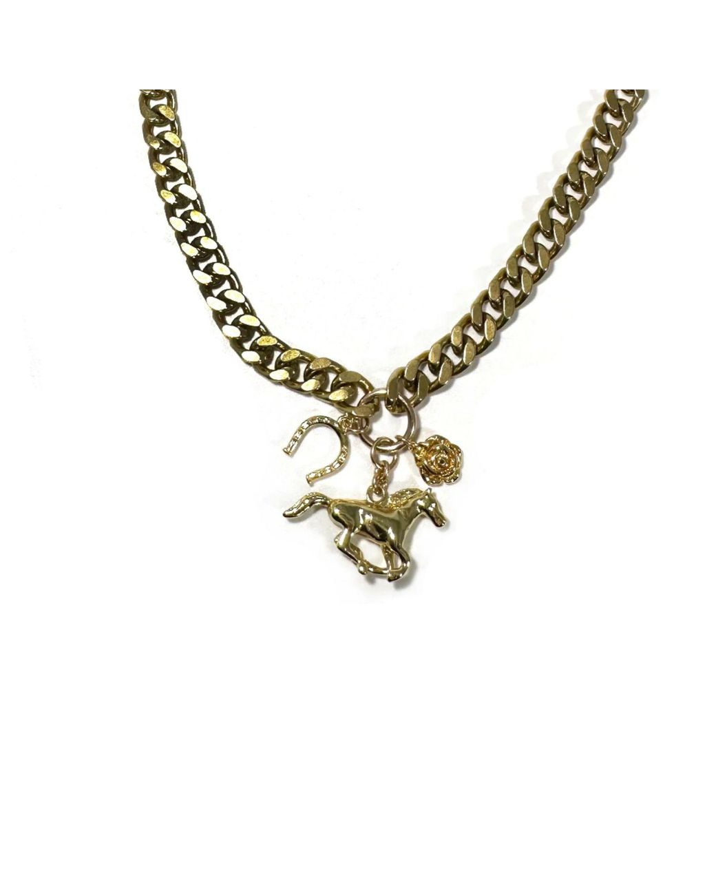 Rachel Nathan Metallic Rodeo Curb Necklace