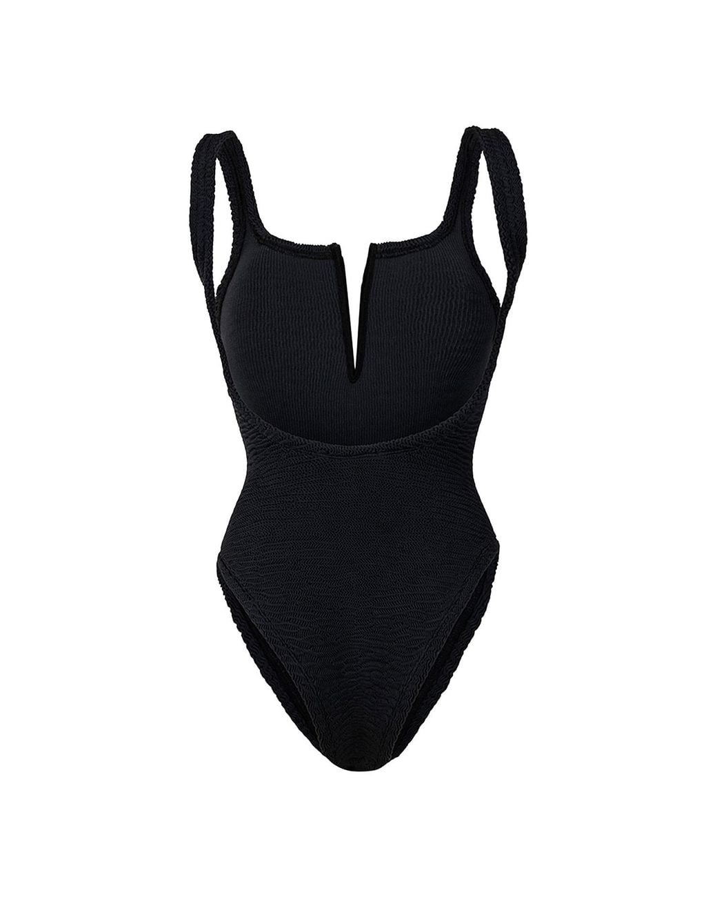 Paramidonna Black Holly