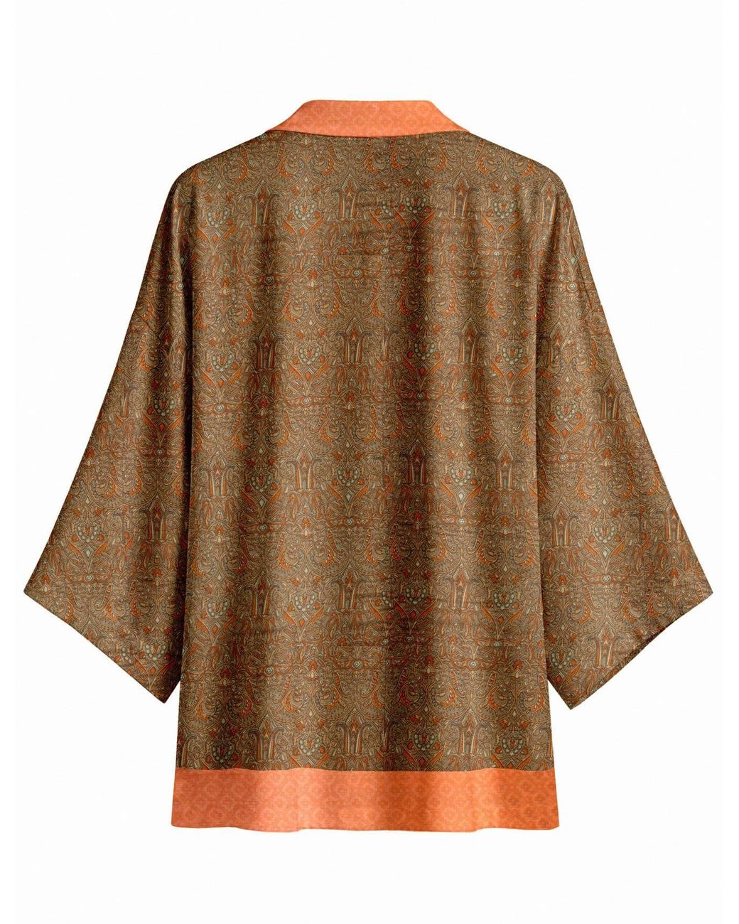 Artemis Muse Brown One Of A Kind Recyled Sari Kimono Two