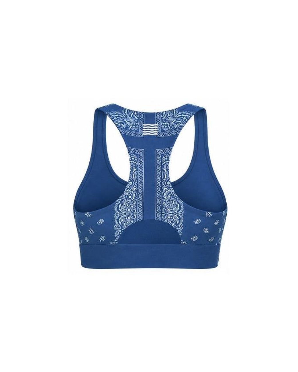 Bondi Active Blue Evolve Bra