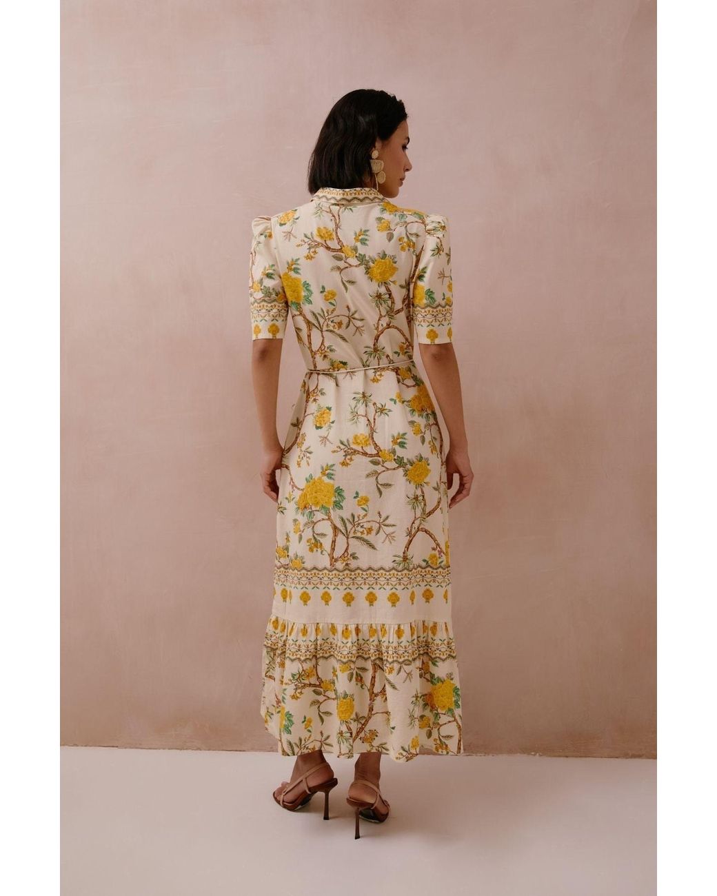 Raishma Metallic Miranda Dress