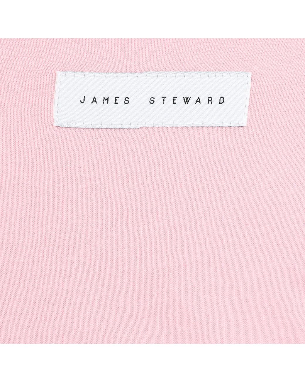 James Steward Pink Embroidered Bee Oversized Sweatshirt