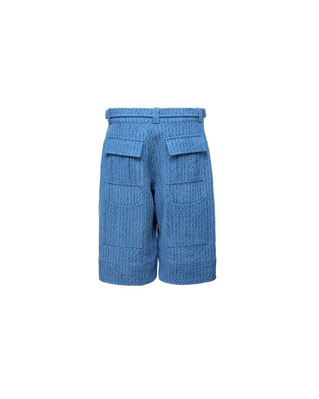 Audrey Vallens Blue Miss Av Jacquard Shorts