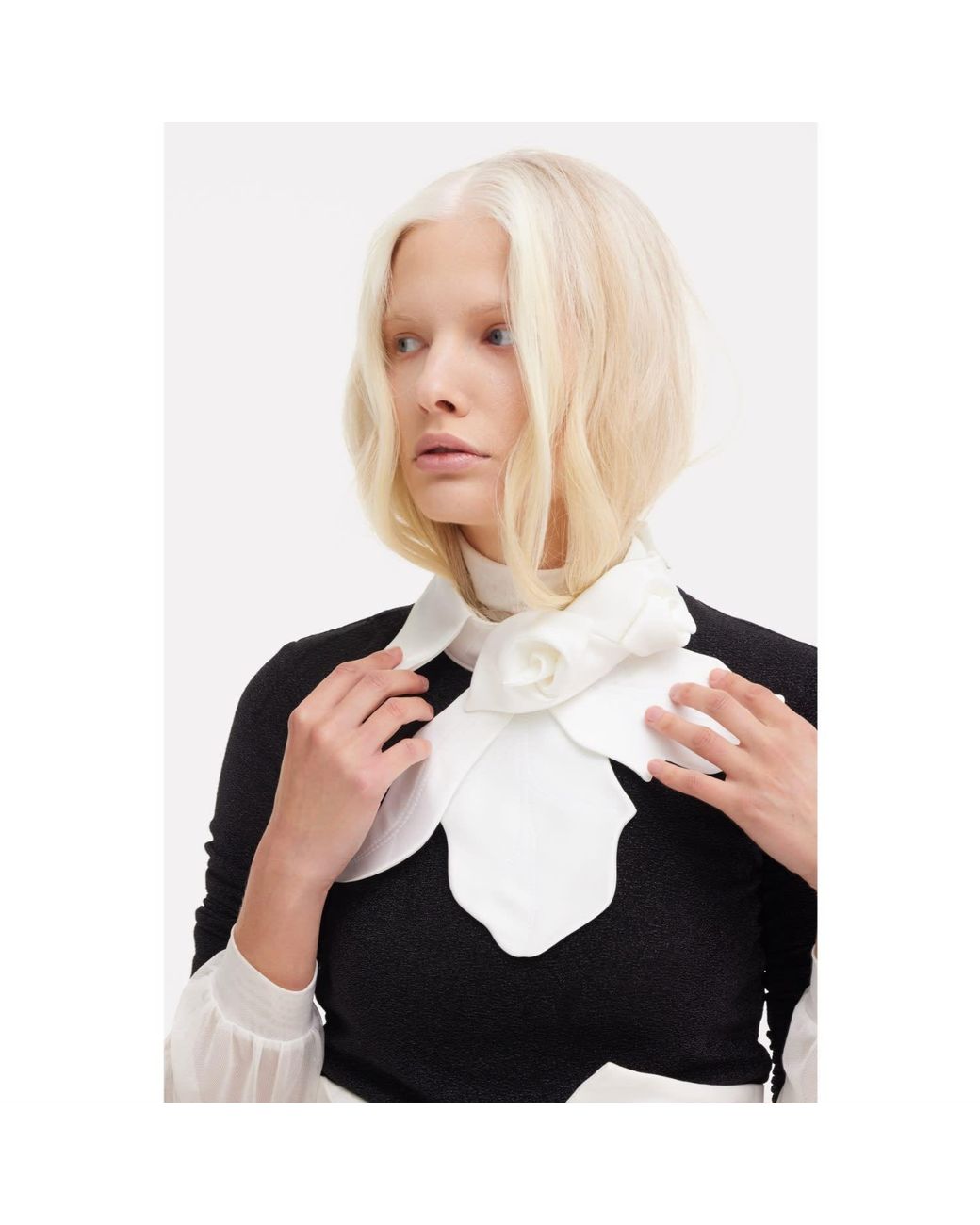 Julia Allert White Evening Neckwear
