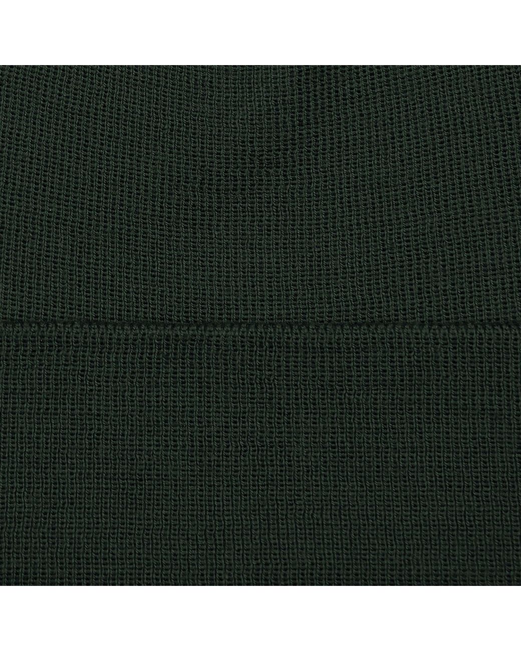 Paul James Knitwear Green Heavyweight Extra Fine Merino Wool Amble Watch Cap for men