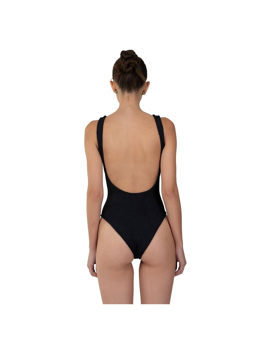 Paramidonna Black Holly