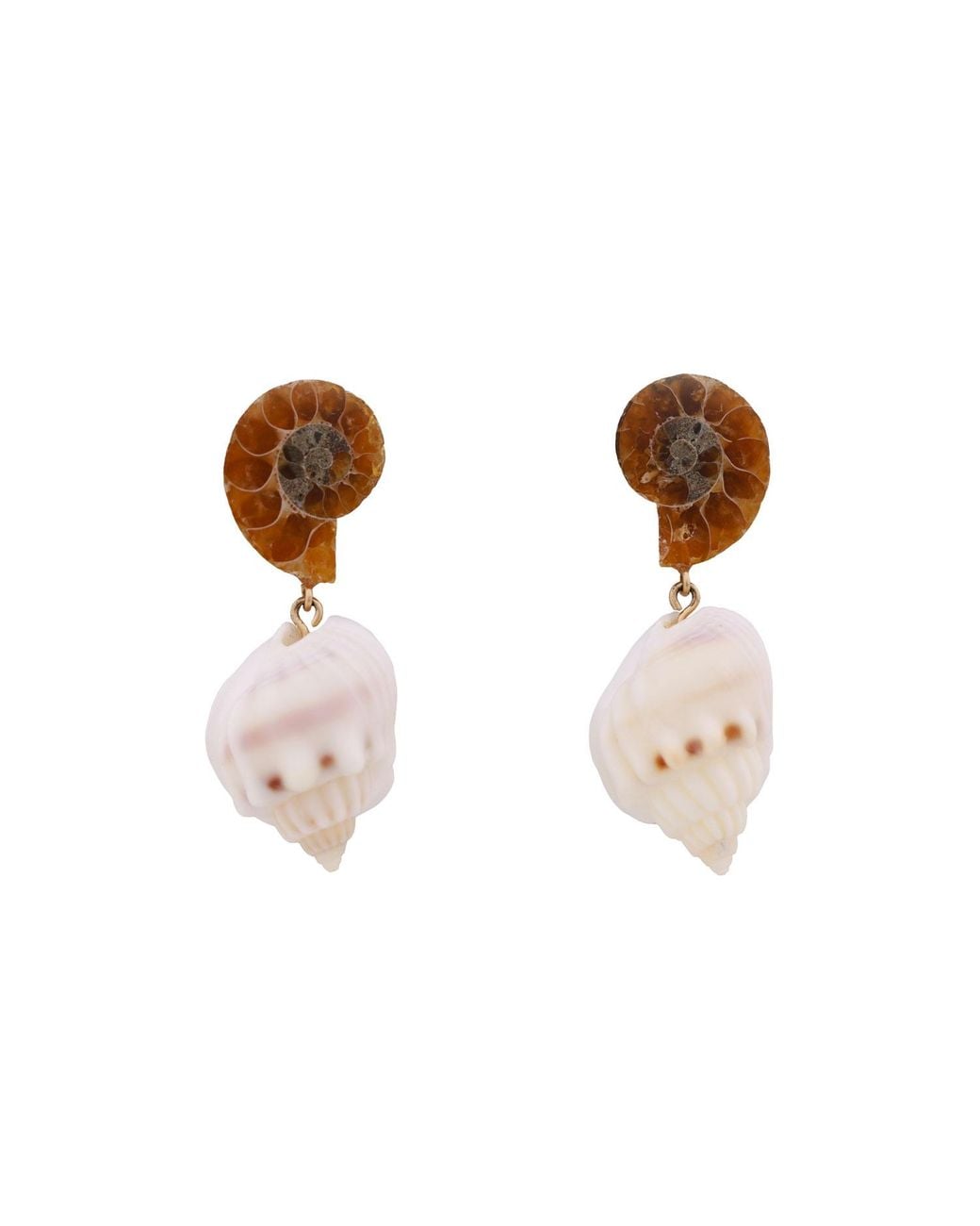 Oana Savu Natural Ammonite Fossils Seashells Shells Earrings Studs