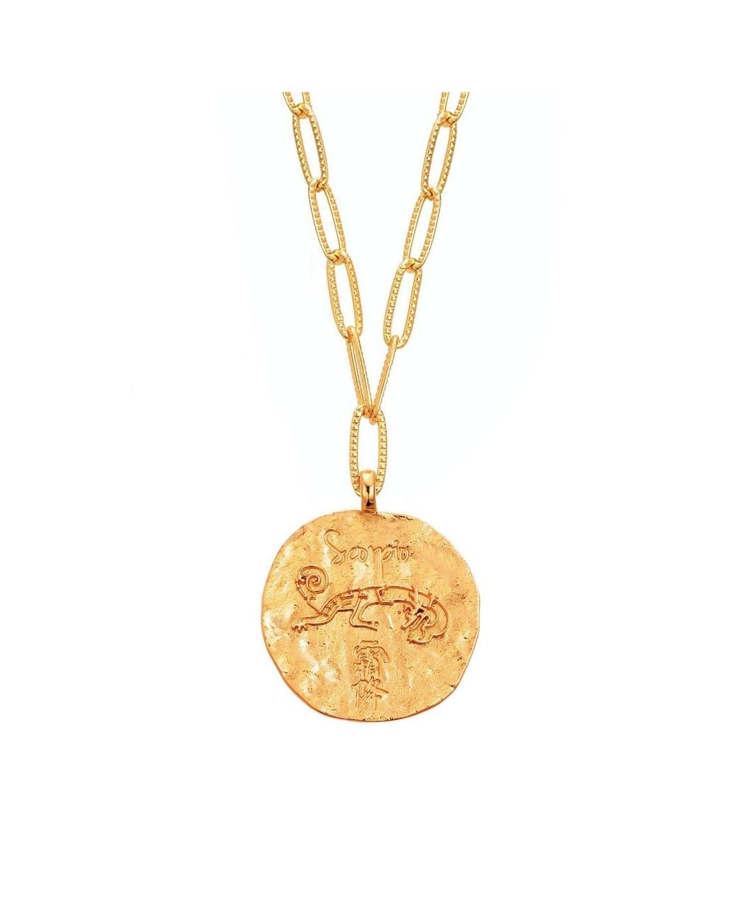 Aurozia Metallic Constellations Scorpio Double-Sided Coin Necklace
