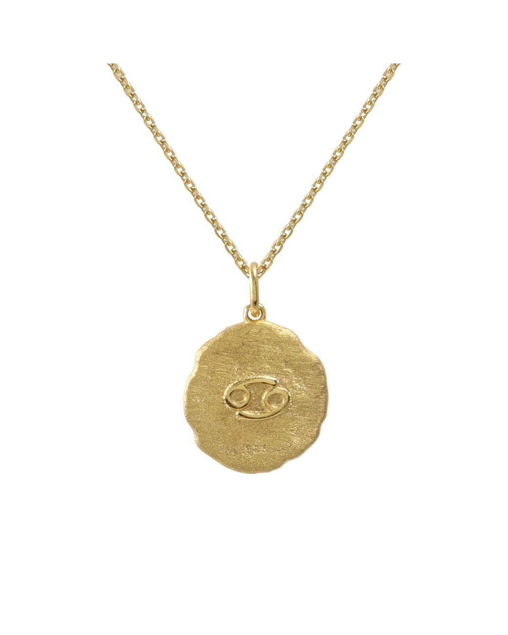 Hye Jane Jewelry Metallic Cancer Zodiac Necklace