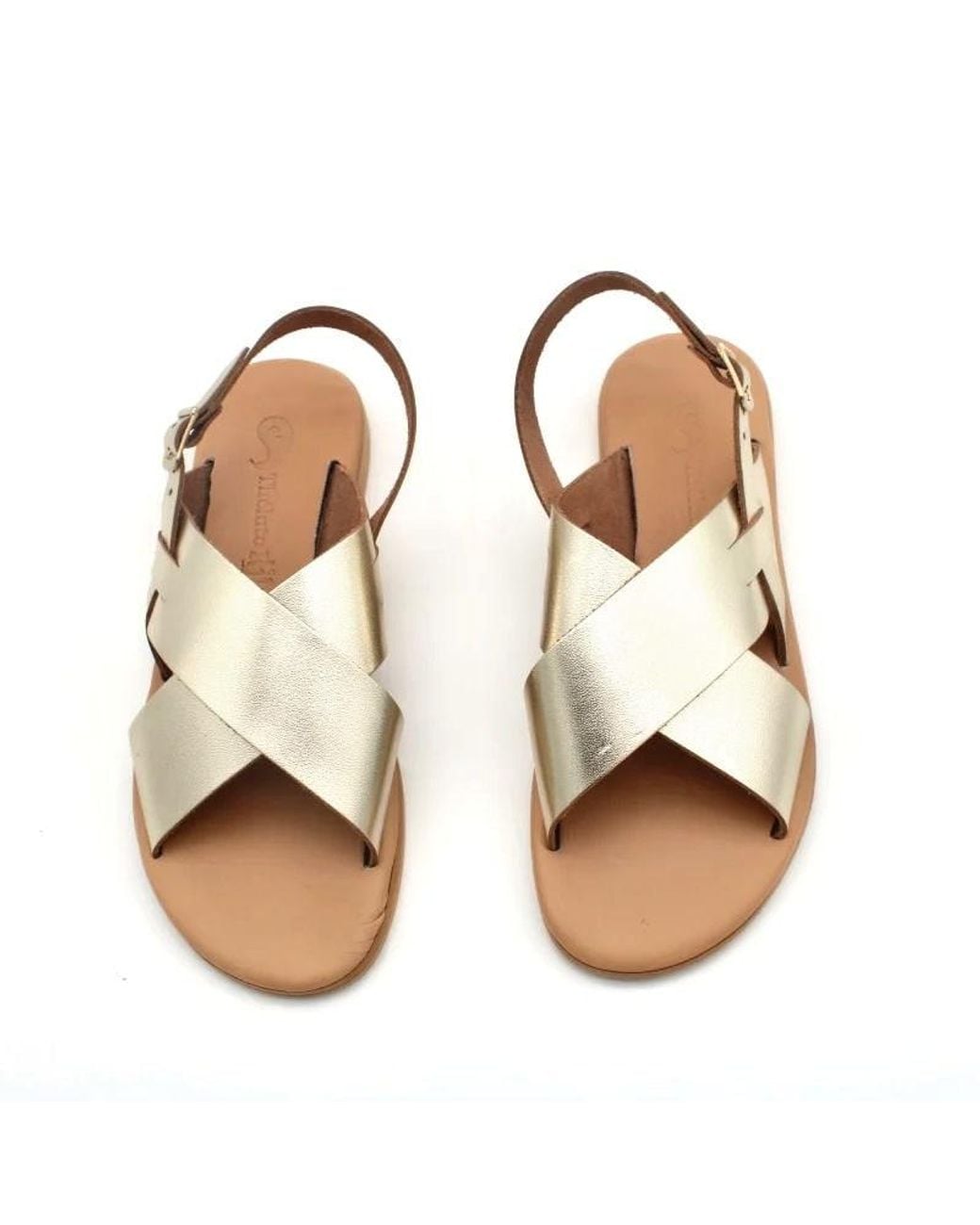 Theluto Brown Tom
