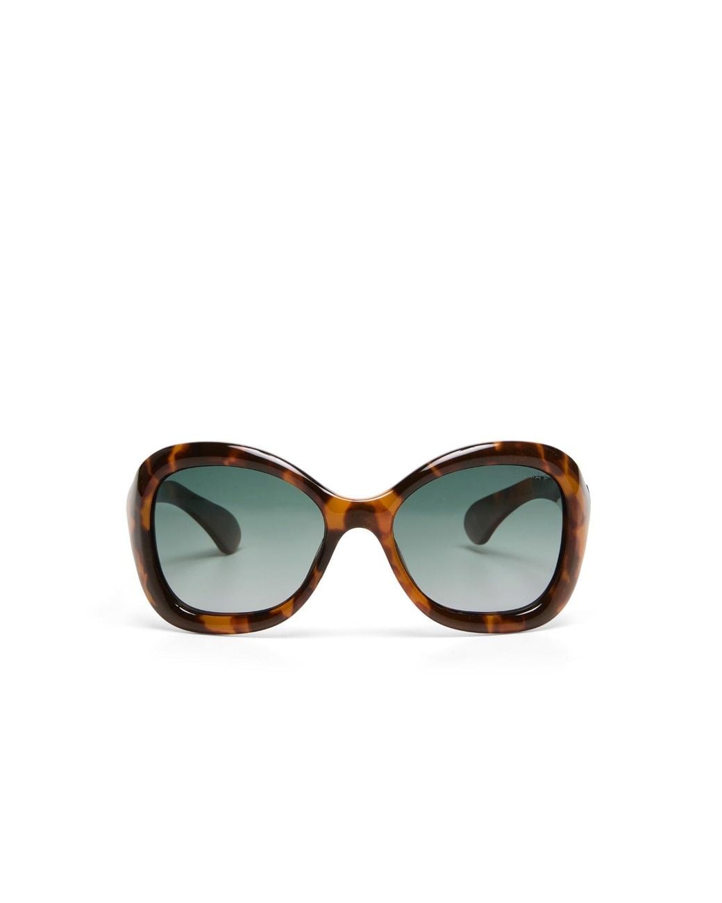 Okkia Uk Ltd Green Procida Okkia Club Classic Havana