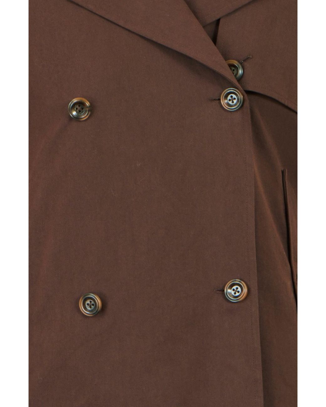 Yumi' Brown Cropped Trench Coat With Check Lining