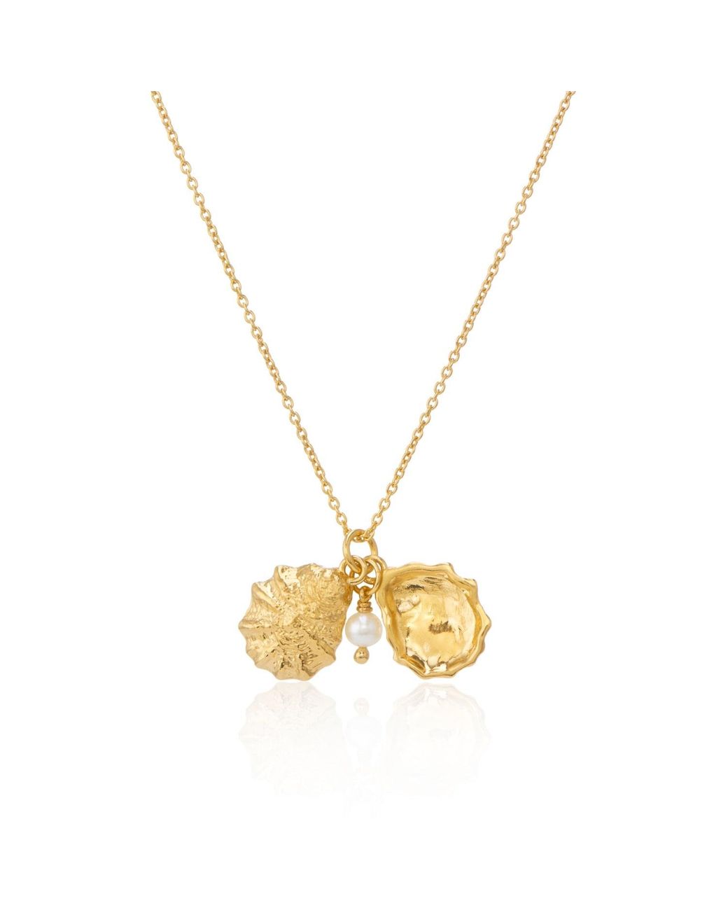 Auree Jewellery Metallic Gaia Vermeil Oyster Shell And Pearl Necklace