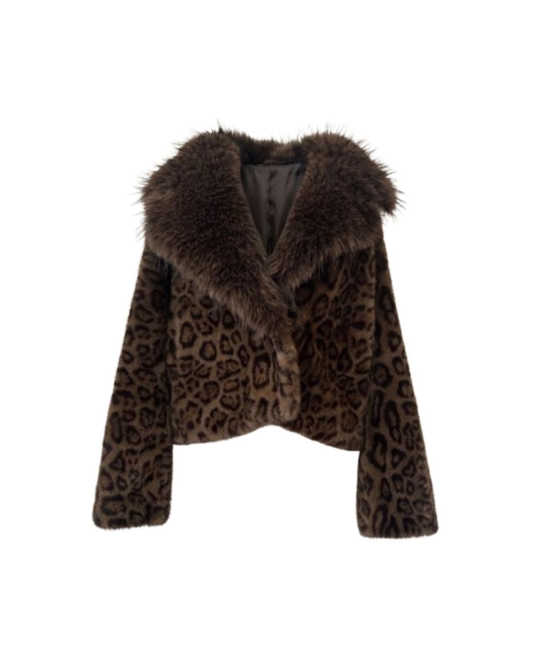 Saachi Brown Animal Print Faux Fur Jacket