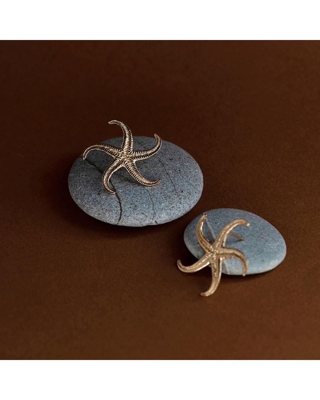 Zoe & Morgan Metallic Starfish Earrings