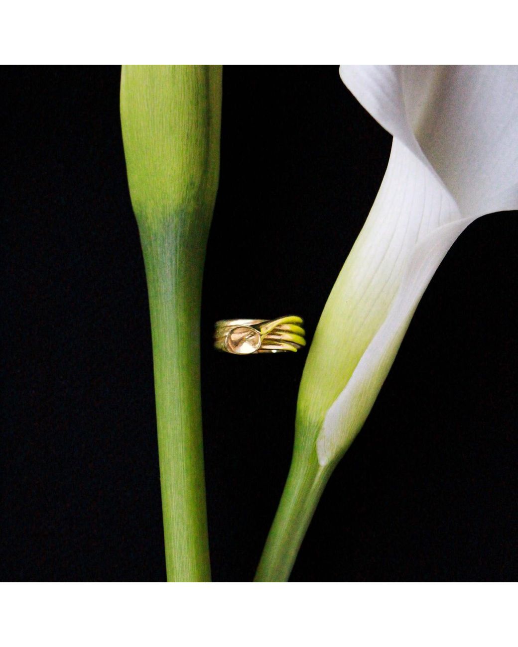 Agora Jewellery Metallic Calla Ring