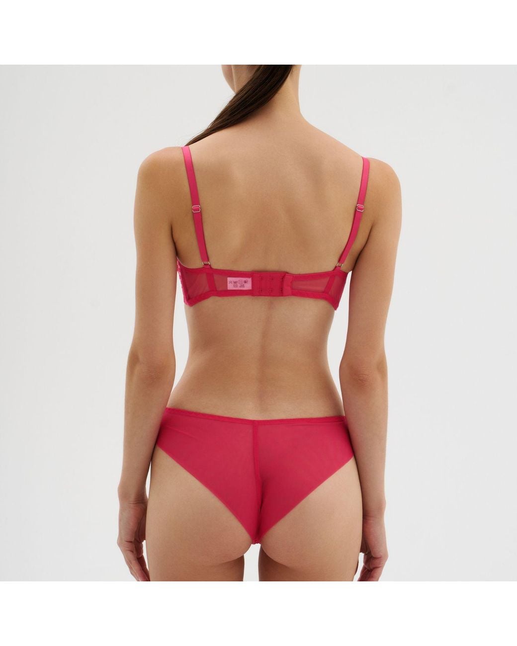 Daily Underwear Red Brazilian Panties Flamingo
