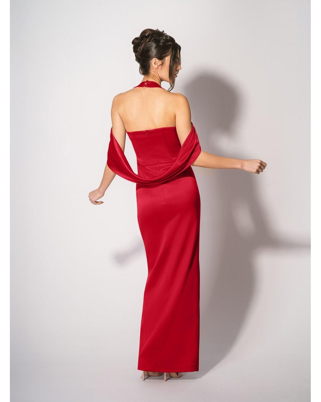 Tia Dorraine Red Rose Garden Maxi Dress – Fierce