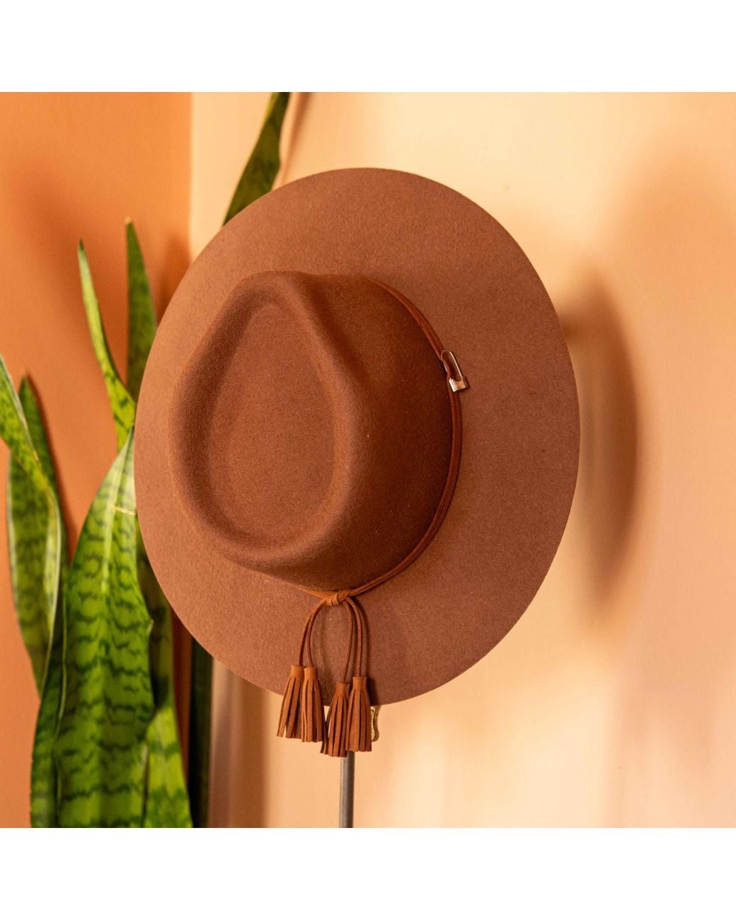 Shaded the Label Brown Pendower Coffee Fedora Hat
