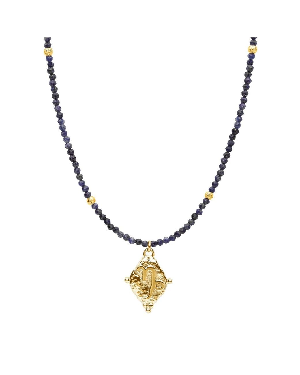Seven Saints Metallic Capricorn Gemstone Choker Necklace, Lapis Lazuli, Plated