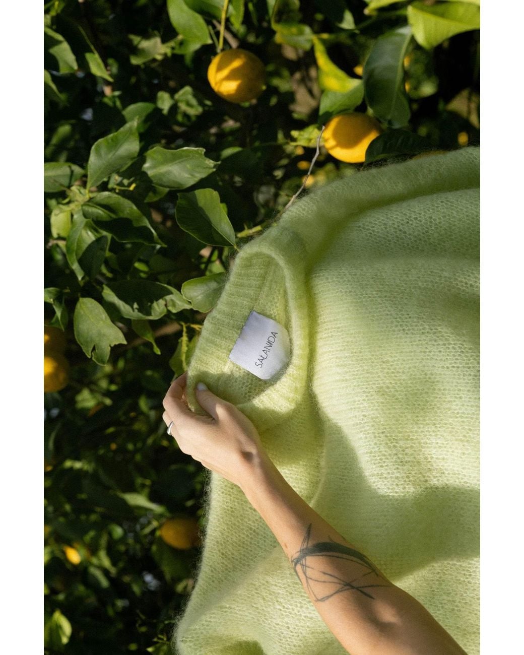 SALANIDA Green Melody Mohair Jumper Limone